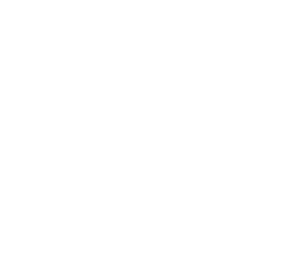 Logo Fedeit - Federazione Italiana Trasportatori